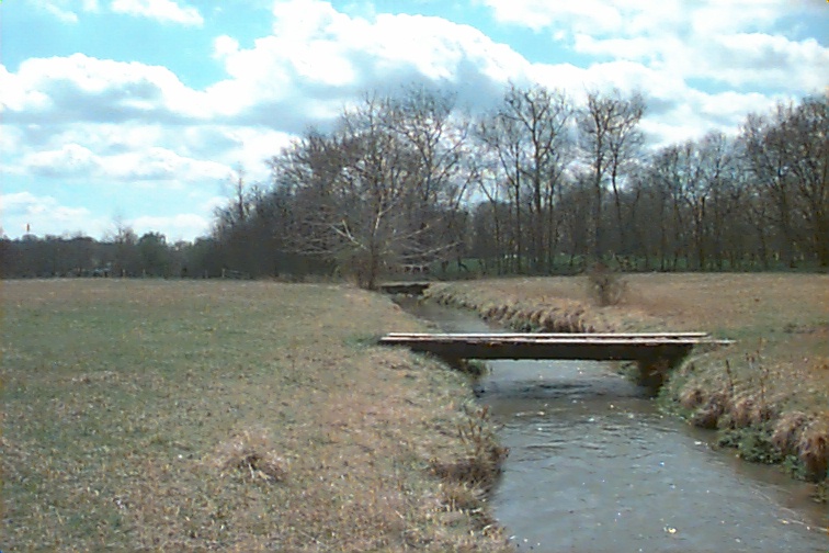 Field photo showing stream conditions at site MARS-205-R-2000-01