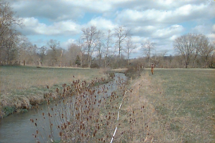 Field photo showing stream conditions at site MARS-205-R-2000-02