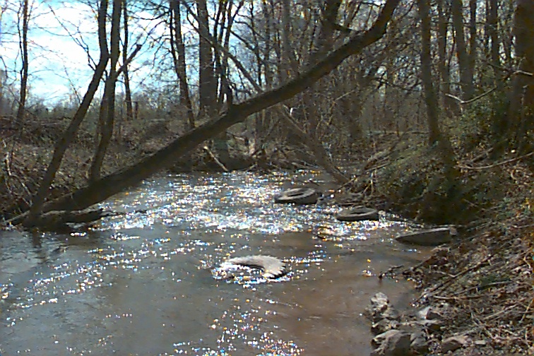 Field photo showing stream conditions at site MARS-210-R-2000-01