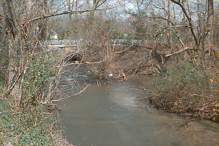 Field photo showing stream conditions at site MARS-210-R-2000-02