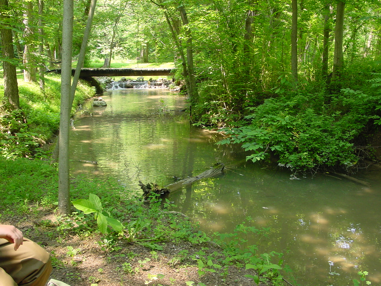 Field photo showing stream conditions at site MARS-211-R-2002-4