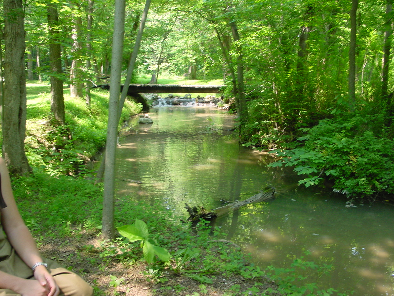 Field photo showing stream conditions at site MARS-211-R-2002-5
