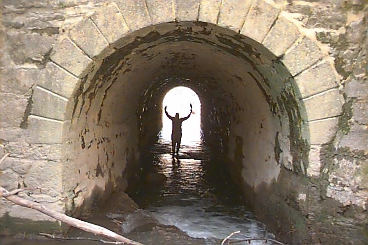 Field photo showing stream conditions at site MARS-224-R-2000-01