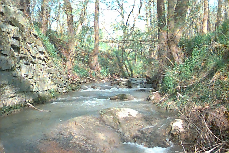 Field photo showing stream conditions at site MARS-224-R-2000-02