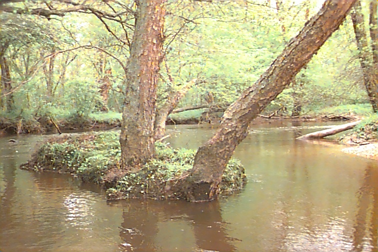 Field photo showing stream conditions at site MATT-033-S-2000-01