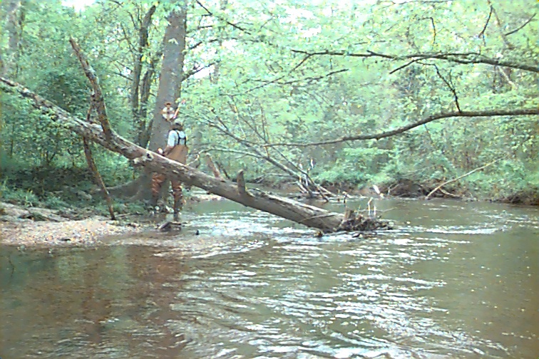 Field photo showing stream conditions at site MATT-033-S-2000-02
