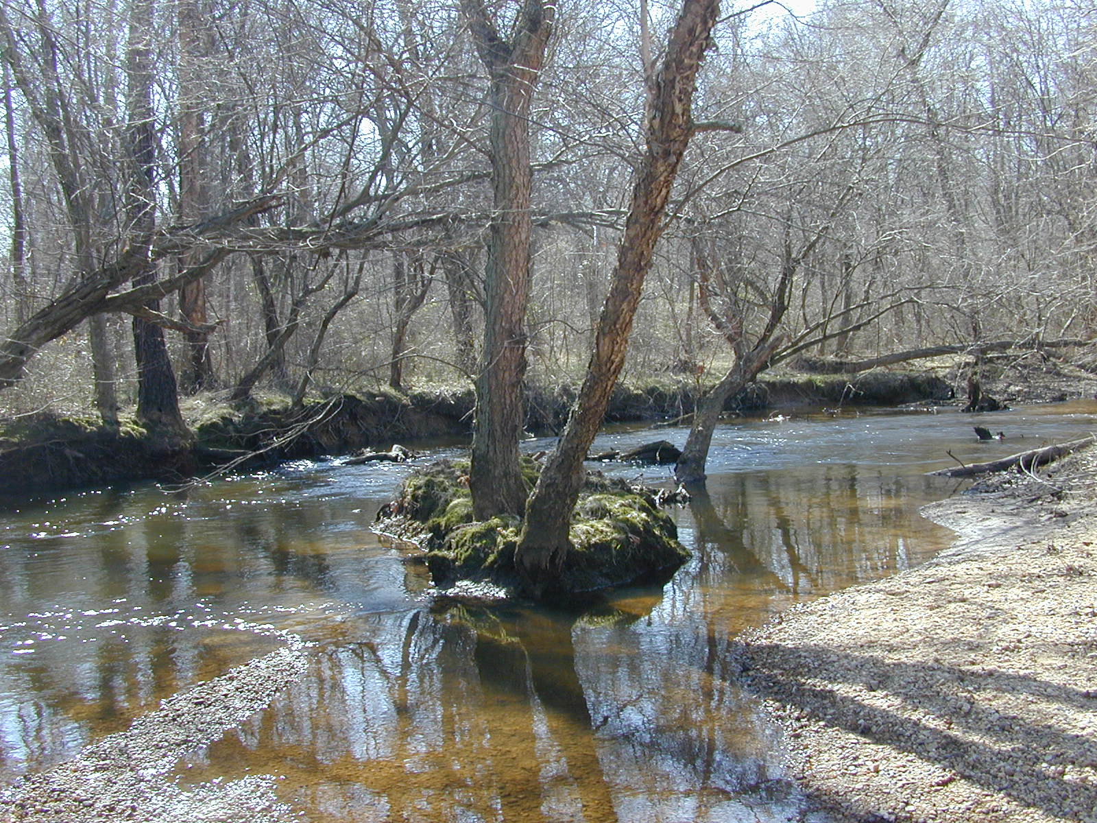 Field photo showing stream conditions at site MATT-033-S-2001-75