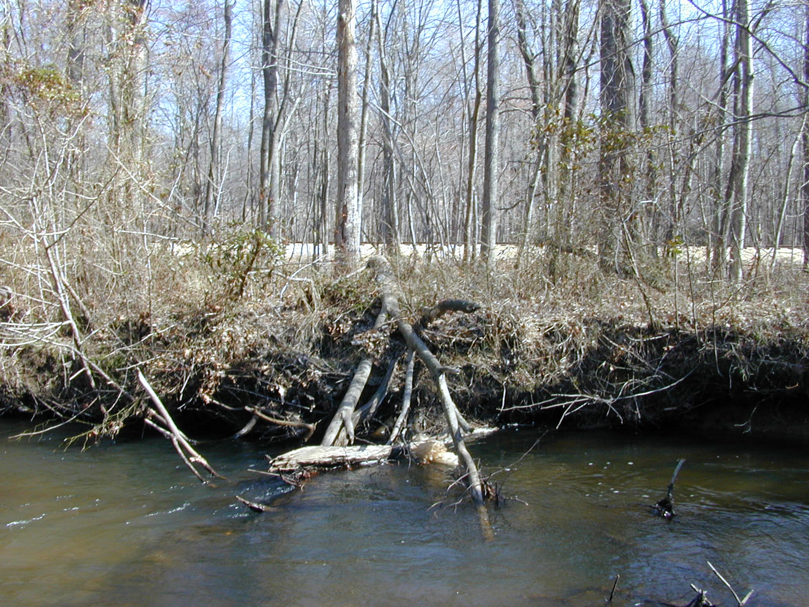 Field photo showing stream conditions at site MATT-033-S-2001-76