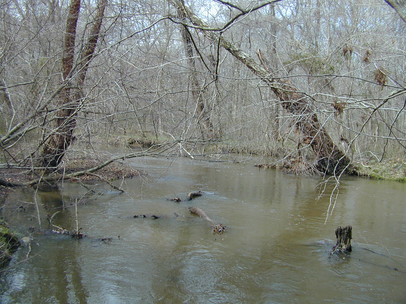 Field photo showing stream conditions at site MATT-033-S-2002-438