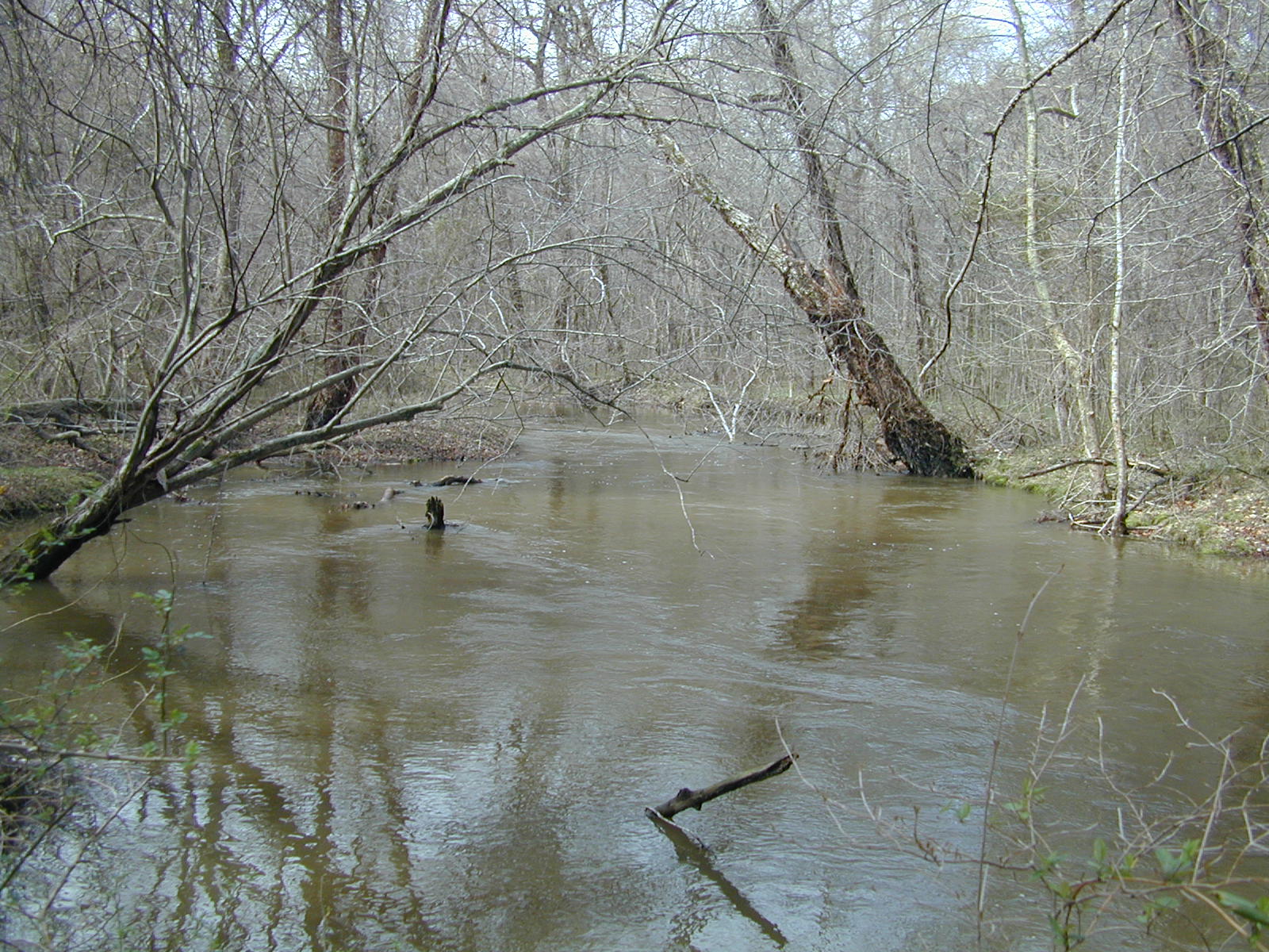 Field photo showing stream conditions at site MATT-033-S-2002-439