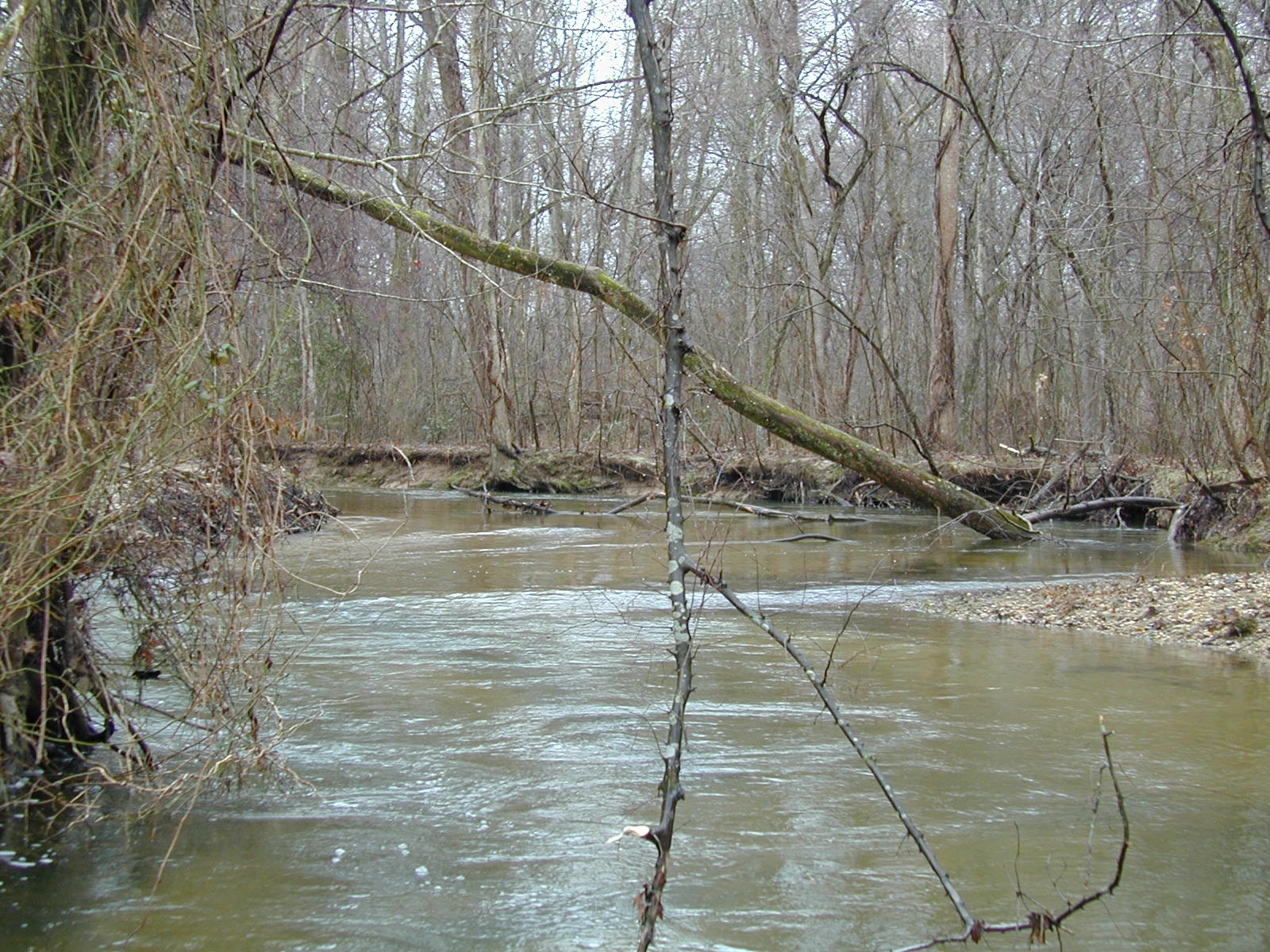 Field photo showing stream conditions at site MATT-033-S-2003-692