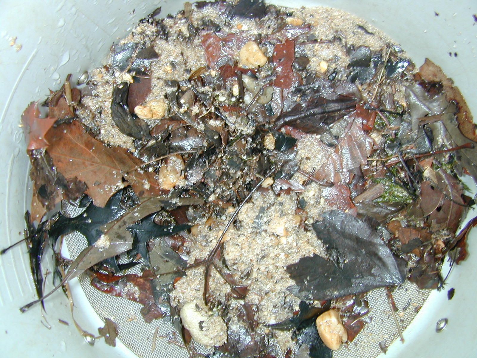 Field photo showing stream conditions at site MATT-033-S-2003-693