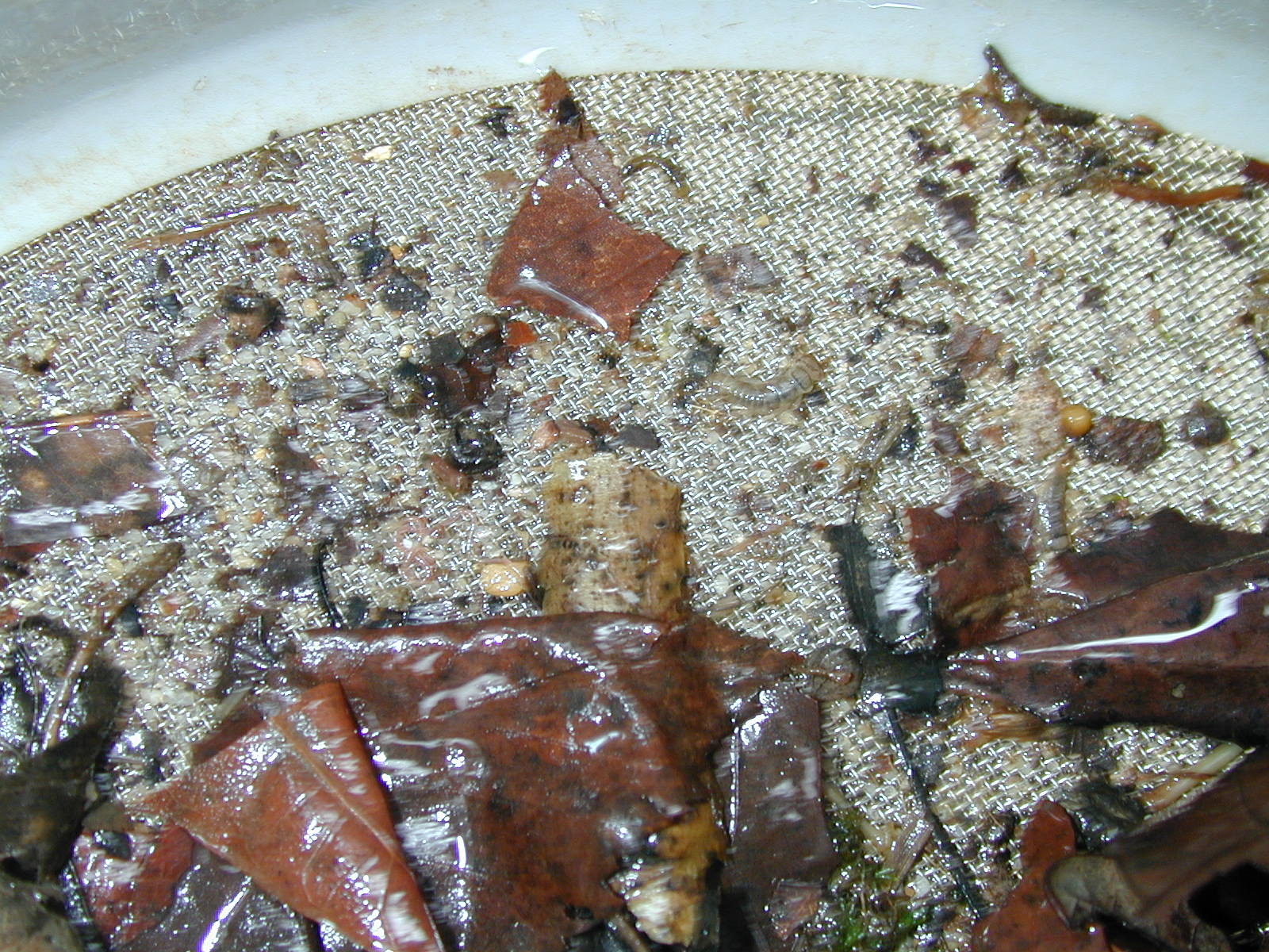 Field photo showing stream conditions at site MATT-033-S-2003-694