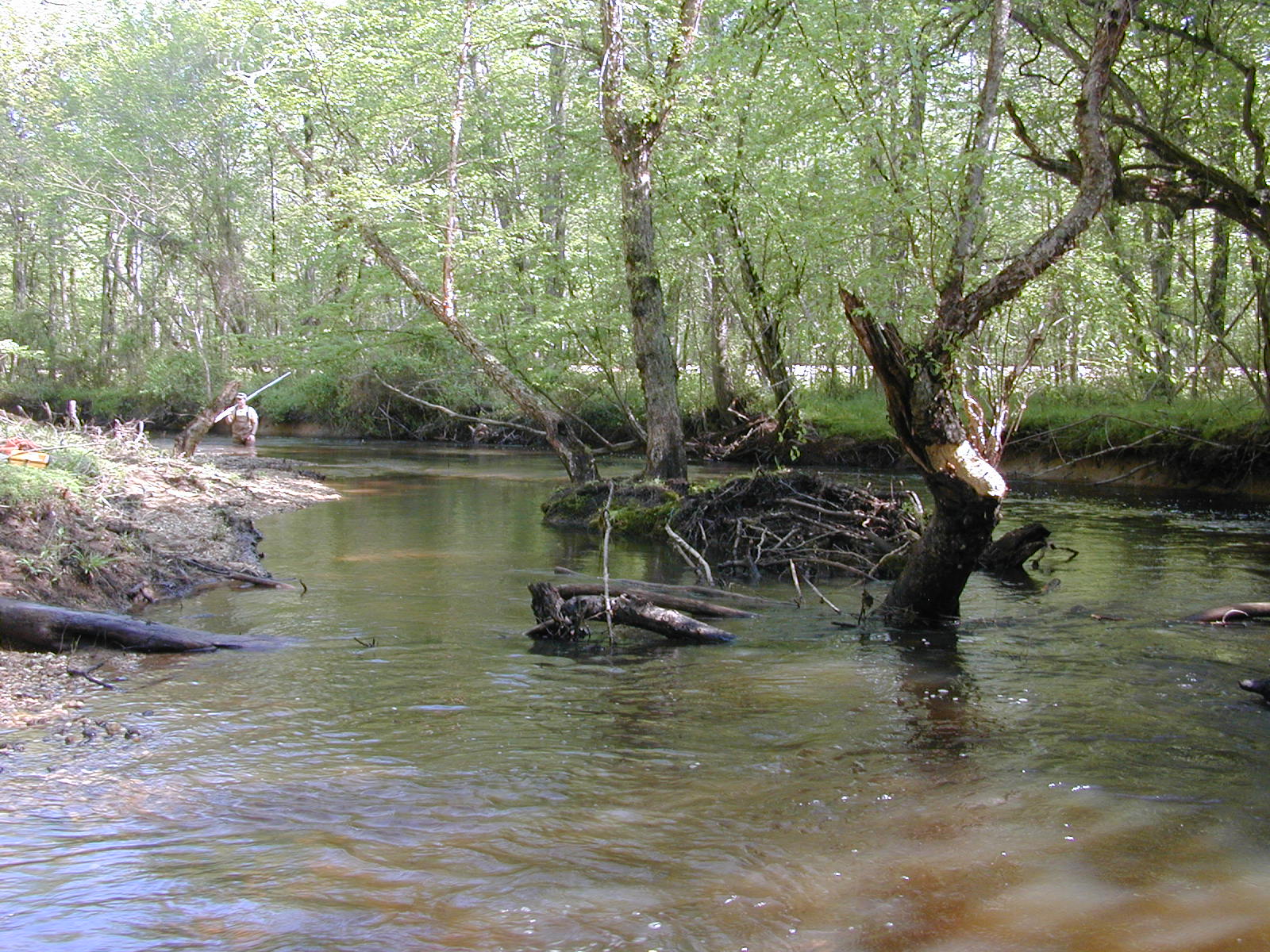 Field photo showing stream conditions at site MATT-033-S-2004-2