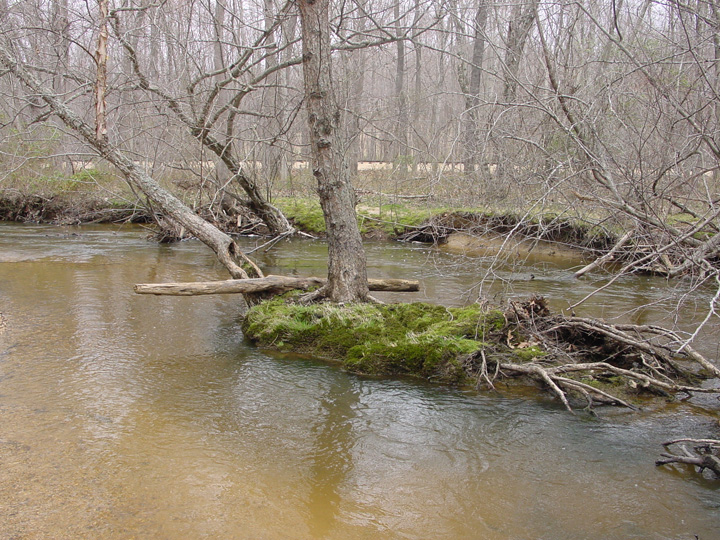 Field photo showing stream conditions at site MATT-033-S-2007-1