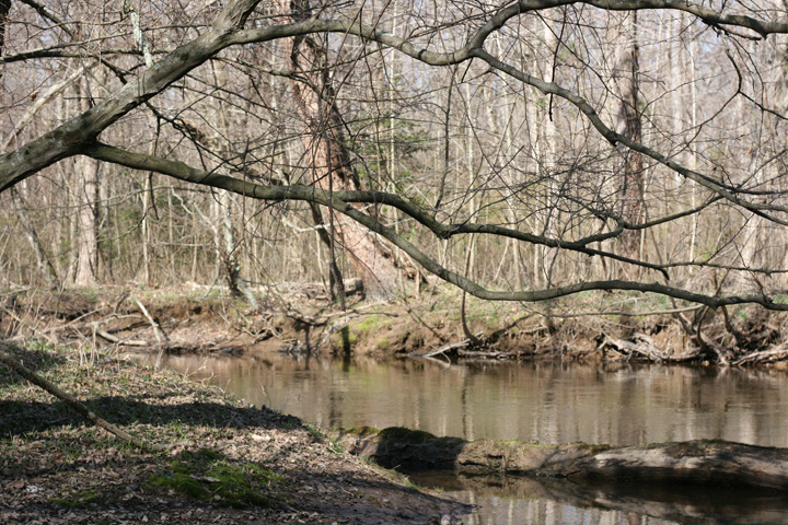 Field photo showing stream conditions at site MATT-033-S-2009-1