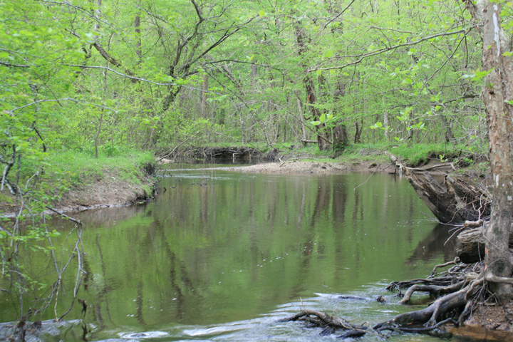Field photo showing stream conditions at site MATT-033-S-2010-1