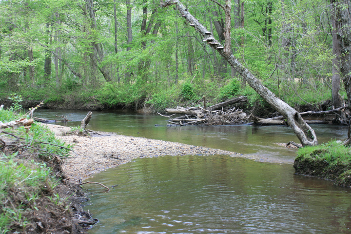 Field photo showing stream conditions at site MATT-033-S-2010-2