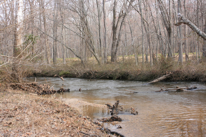 Field photo showing stream conditions at site MATT-033-S-2011-2