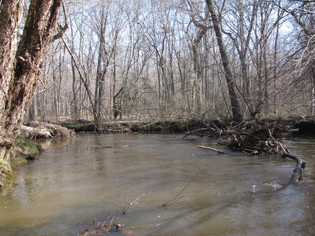 Field photo showing stream conditions at site MATT-033-S-2012-2
