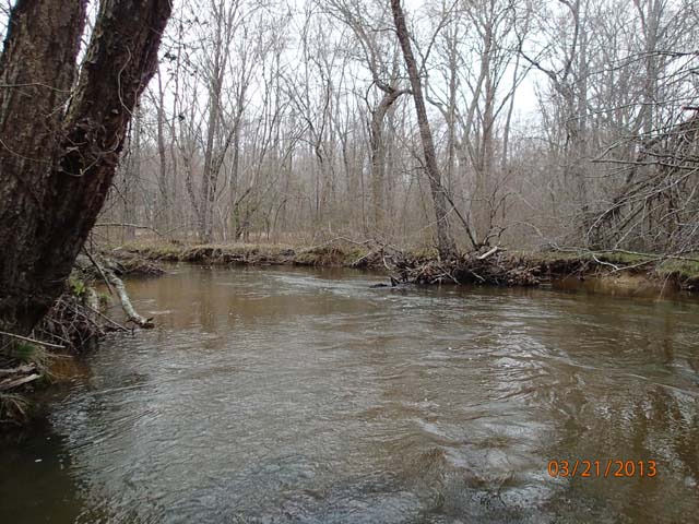 Field photo showing stream conditions at site MATT-033-S-2013-MidpointPdownstream