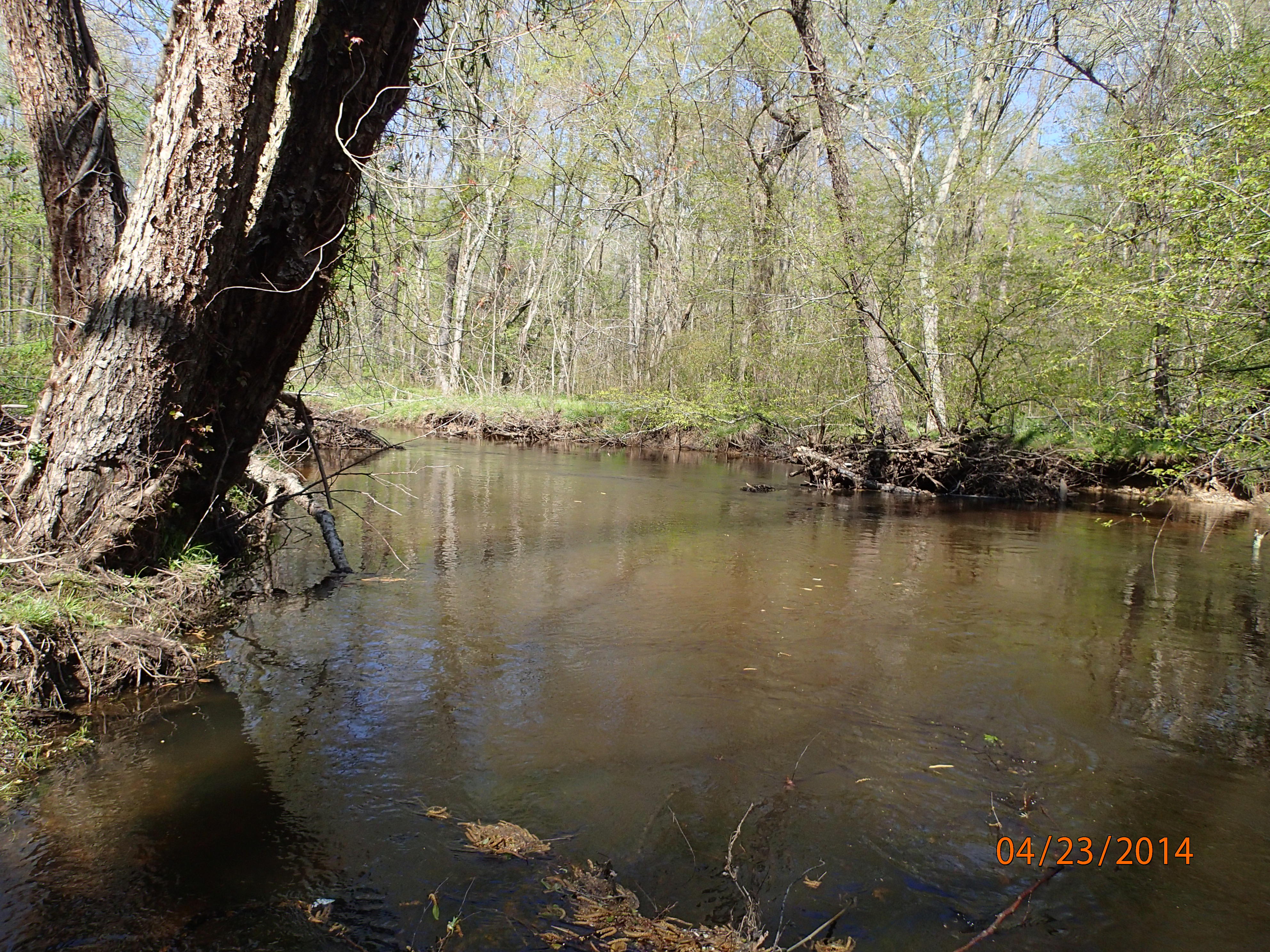 Field photo showing stream conditions at site MATT-033-S-2014-MidpointDownstream