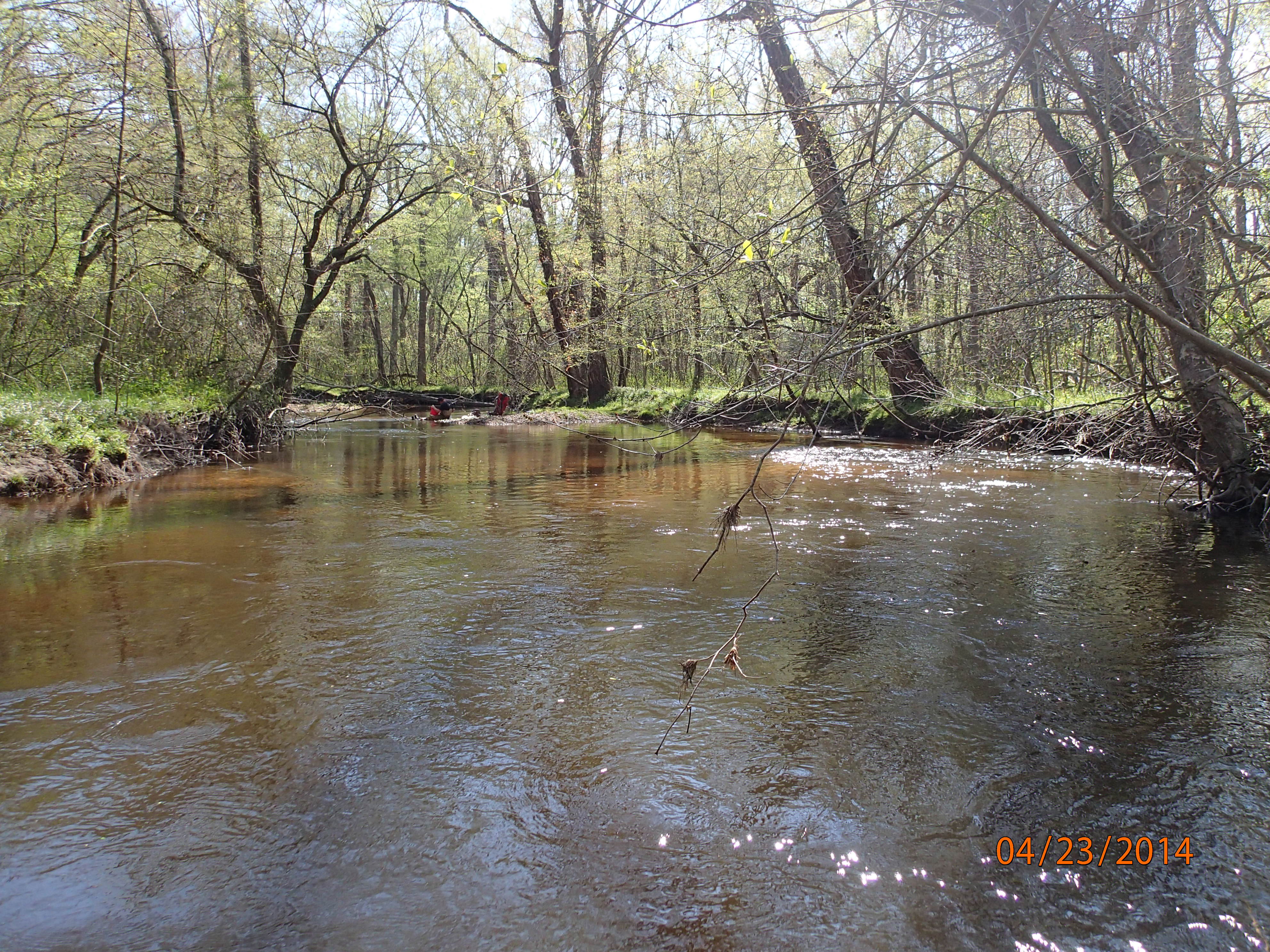 Field photo showing stream conditions at site MATT-033-S-2014-MidpointUpstream