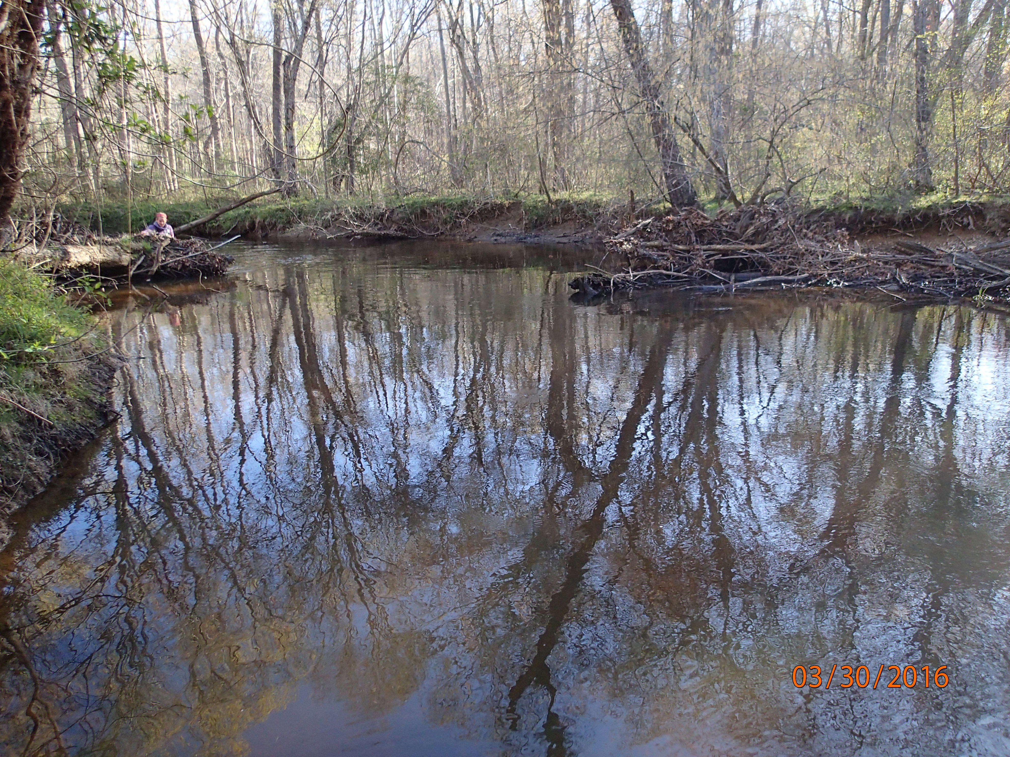 Field photo showing stream conditions at site MATT-033-S-2016-MidpointPDownstream