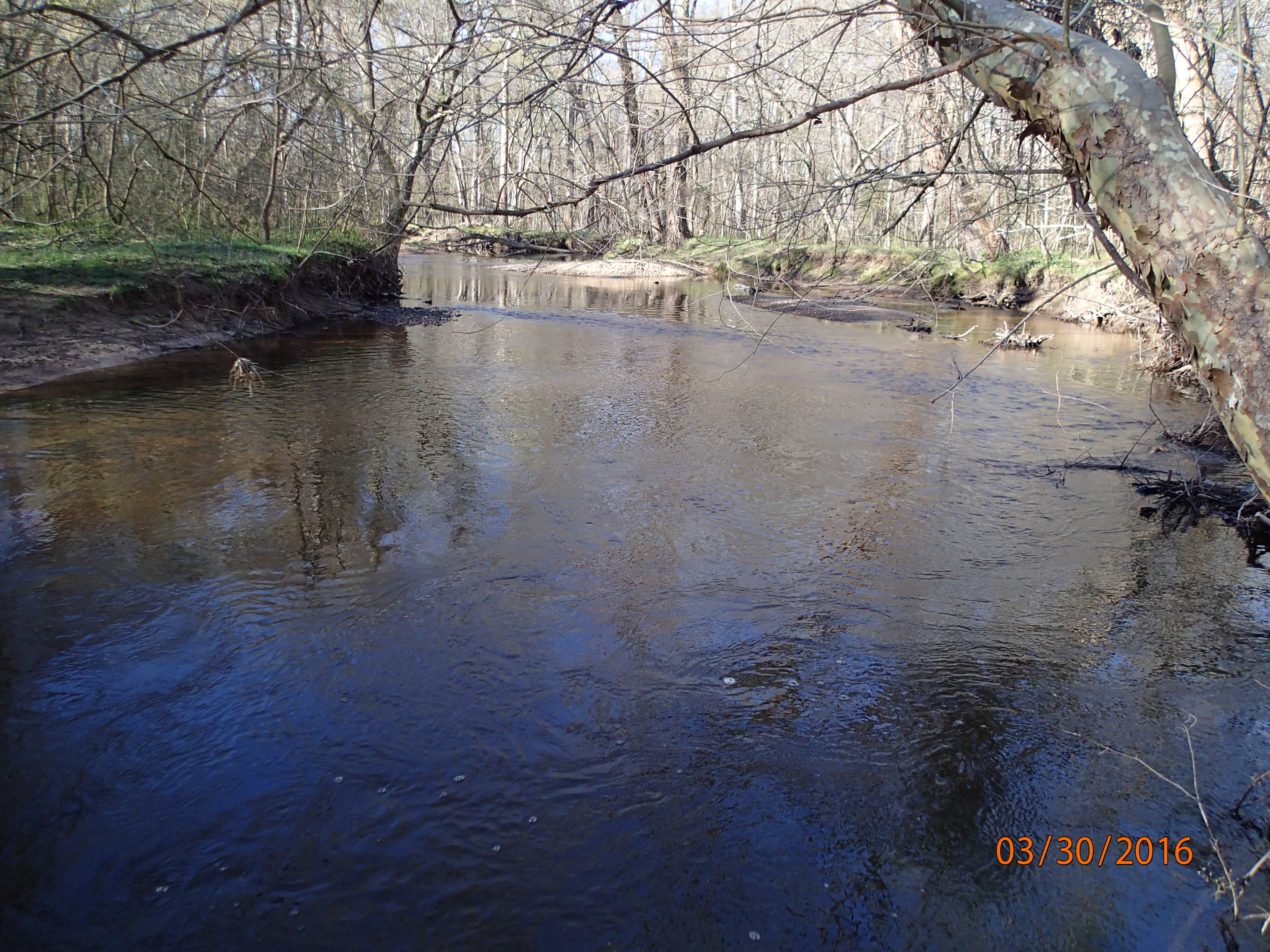 Field photo showing stream conditions at site MATT-033-S-2016-MidpointPUpstream