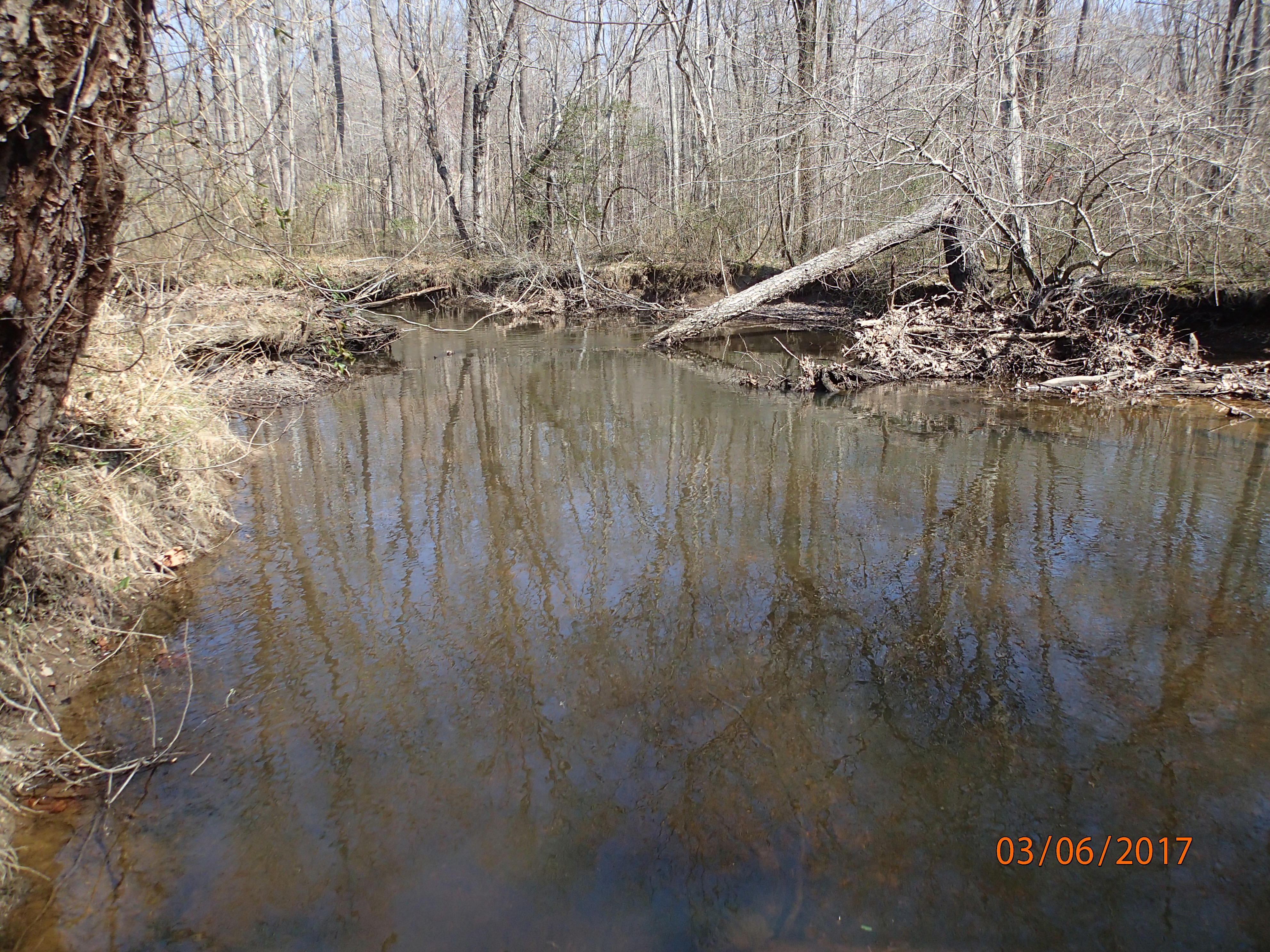 Field photo showing stream conditions at site MATT-033-S-2017-MidpointDownstream