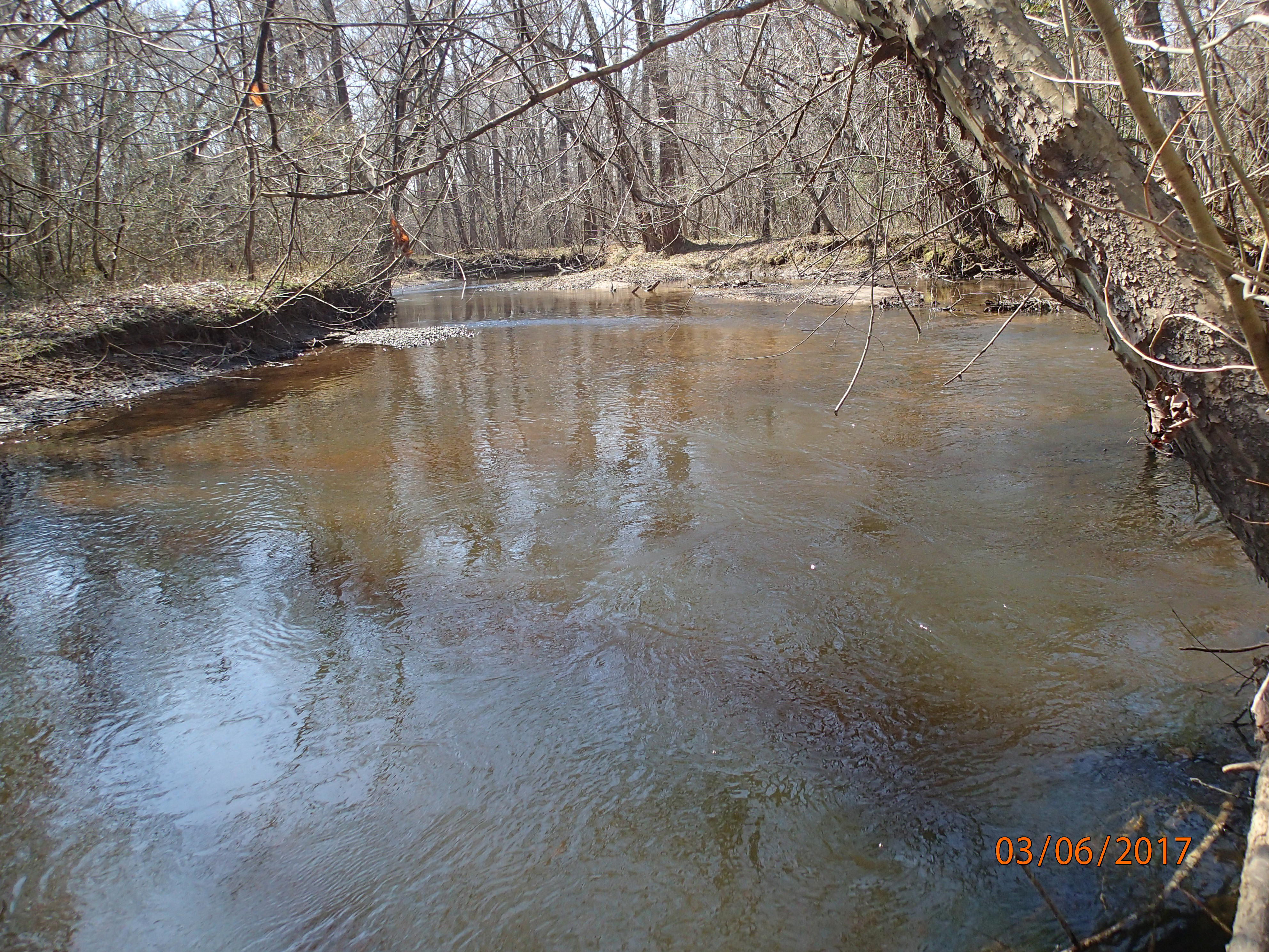 Field photo showing stream conditions at site MATT-033-S-2017-MidpointUpstream