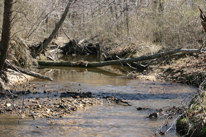 Field photo showing stream conditions at site MATT-101-A-2009-2