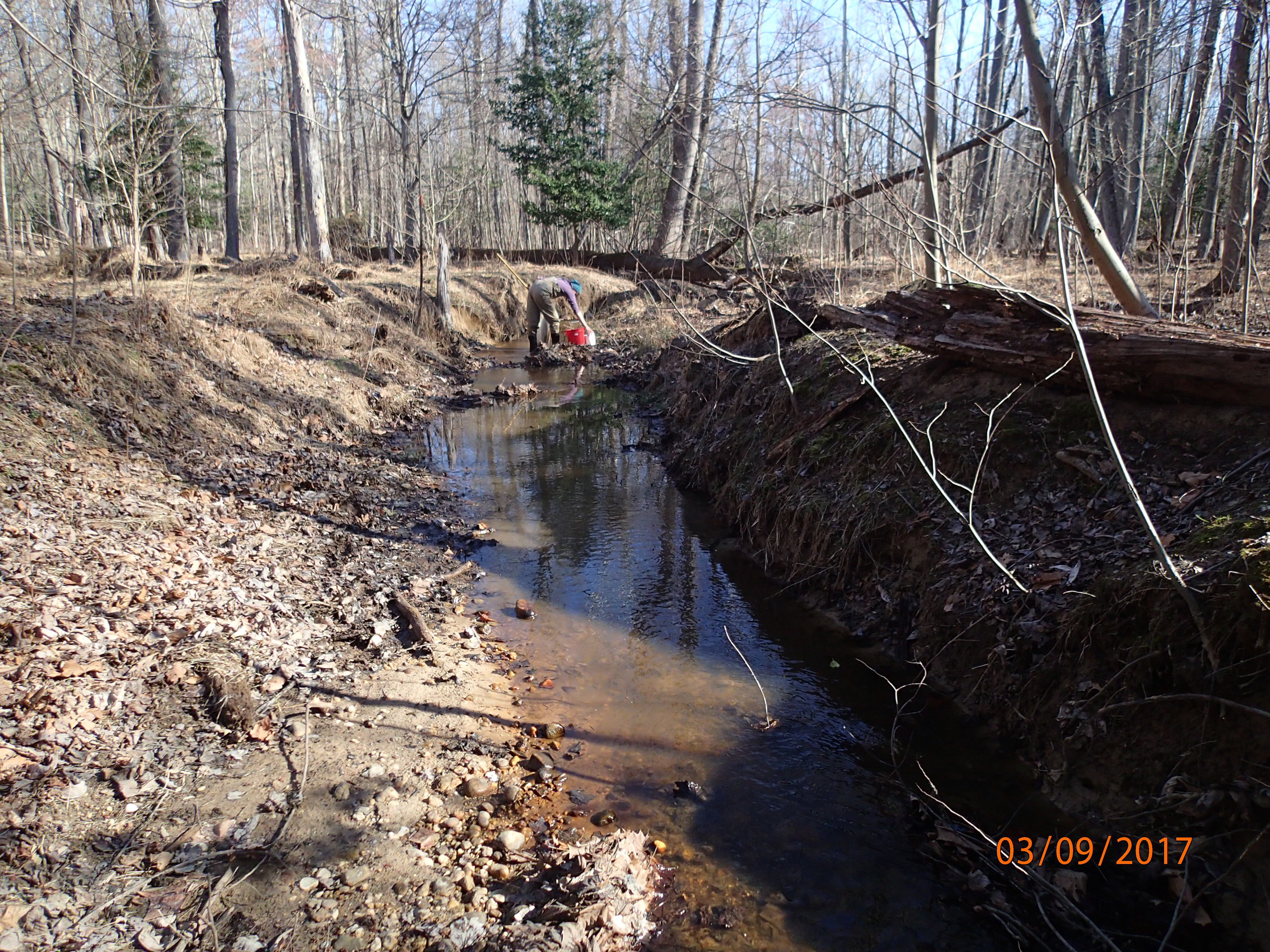 Field photo showing stream conditions at site MATT-101-X-2017-MidpointDownstream