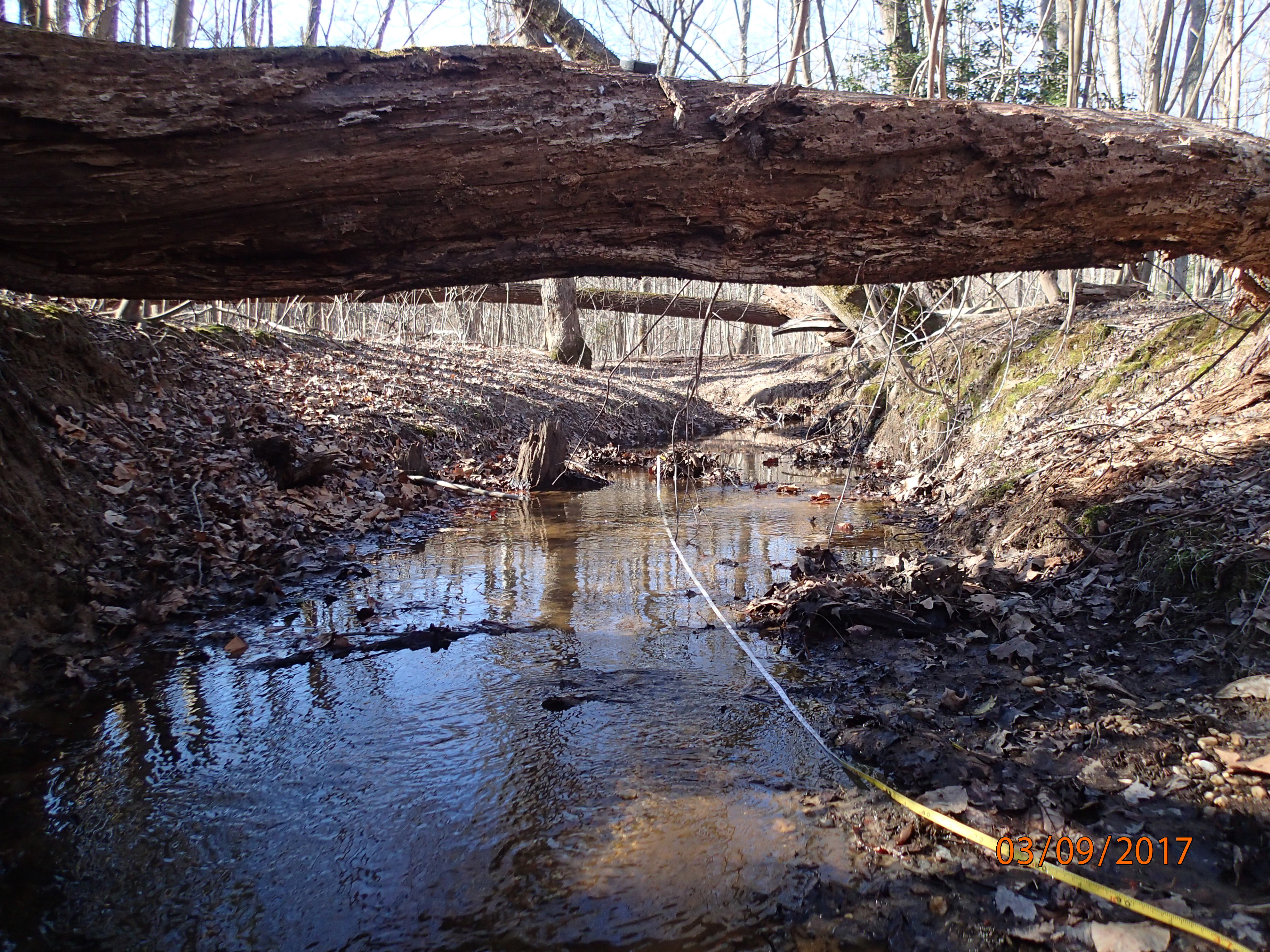Field photo showing stream conditions at site MATT-101-X-2017-MidpointUpstream