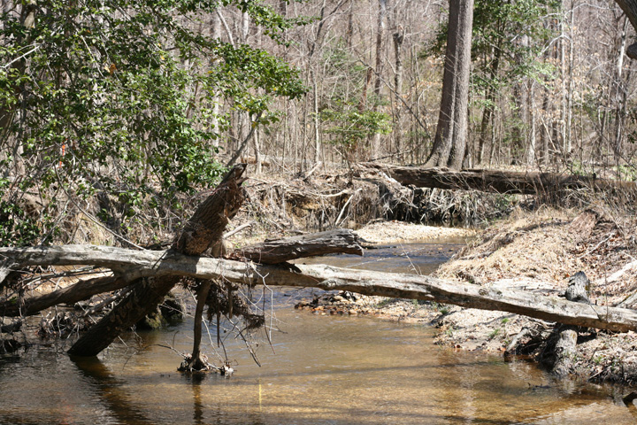 Field photo showing stream conditions at site MATT-102-A-2009-2