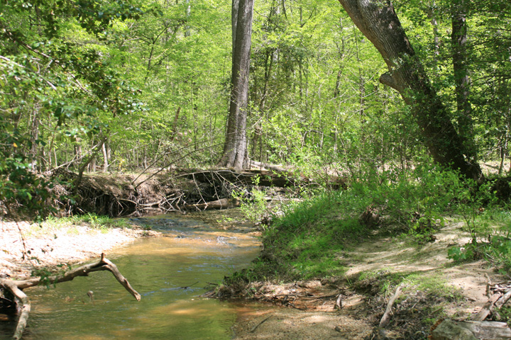 Field photo showing stream conditions at site MATT-102-A-2010-1