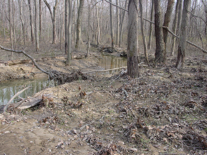 Field photo showing stream conditions at site MATT-102-R-2007-1