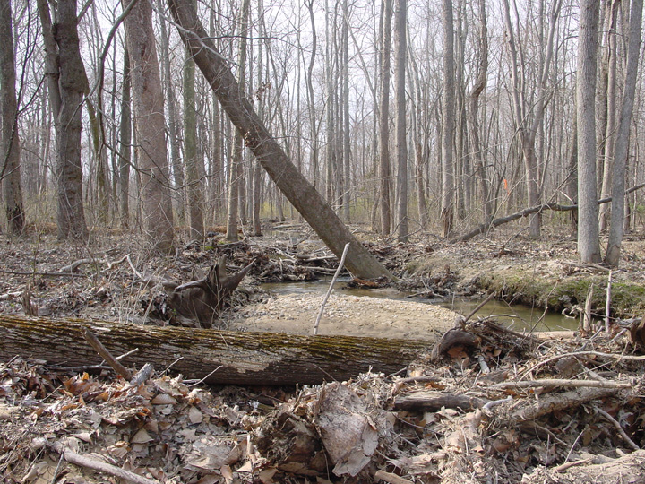 Field photo showing stream conditions at site MATT-102-R-2007-2