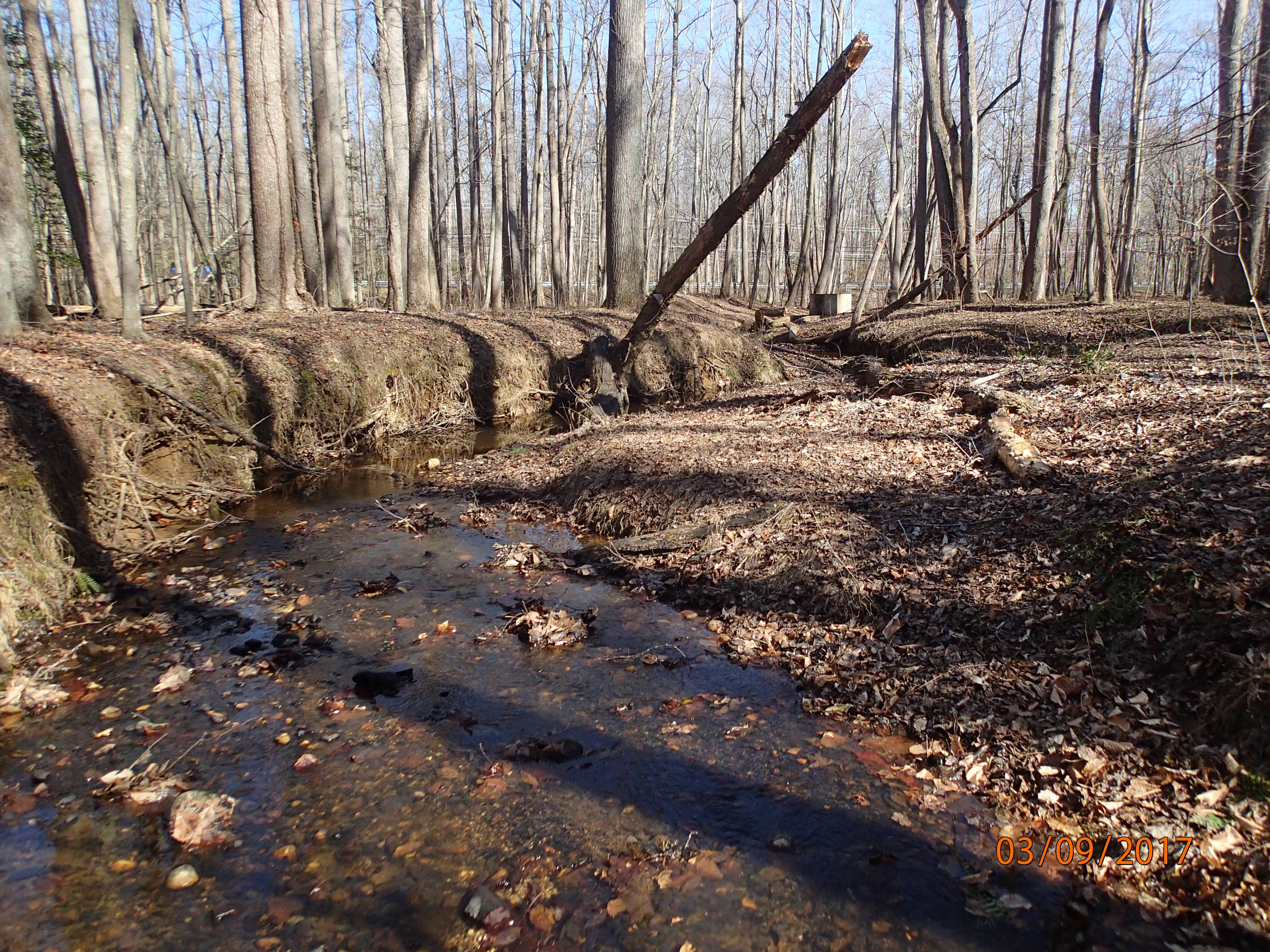 Field photo showing stream conditions at site MATT-102-S-2017-MidpointPDownstream