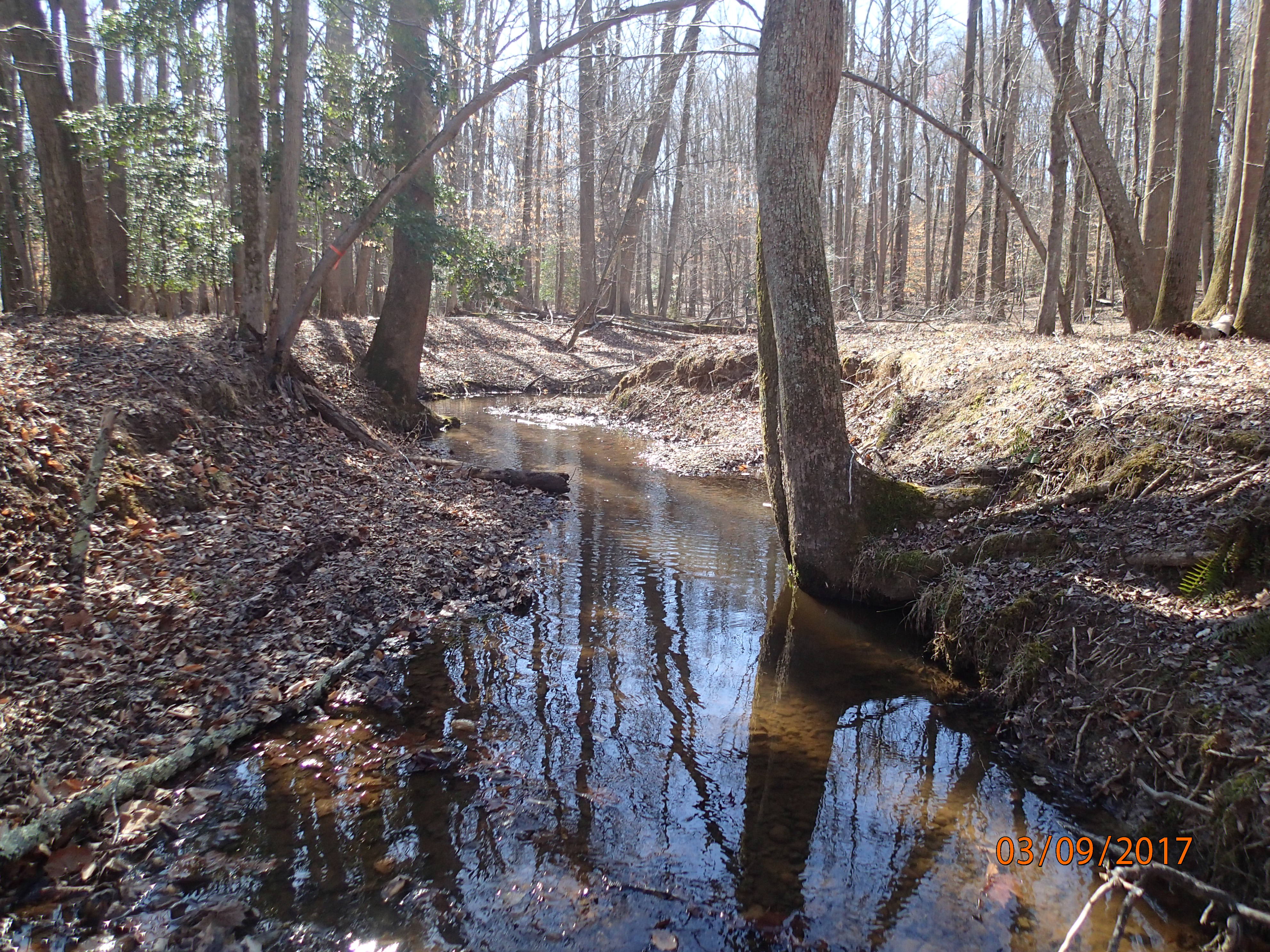 Field photo showing stream conditions at site MATT-102-S-2017-MidpointPUpstream