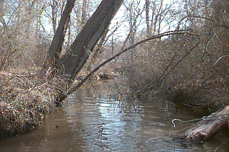 Field photo showing stream conditions at site MATT-103-R-2000-01