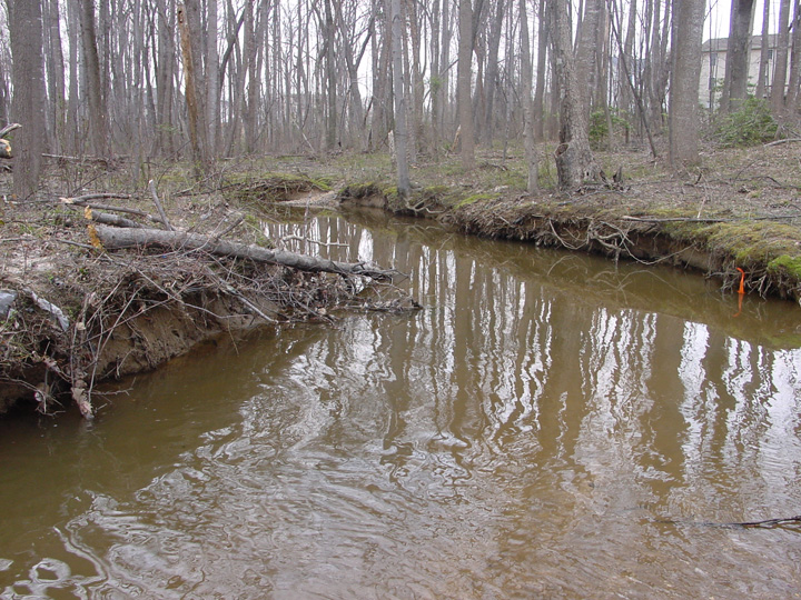 Field photo showing stream conditions at site MATT-103-R-2007-1