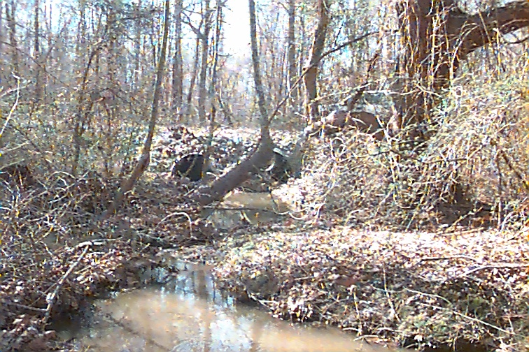 Field photo showing stream conditions at site MATT-104-R-2000-01