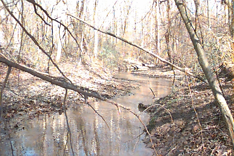 Field photo showing stream conditions at site MATT-104-R-2000-02
