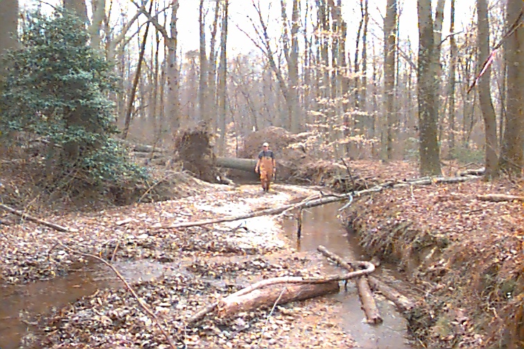 Field photo showing stream conditions at site MATT-105-R-2000-01
