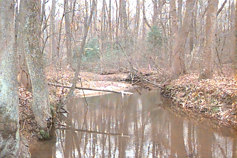Field photo showing stream conditions at site MATT-105-R-2000-02