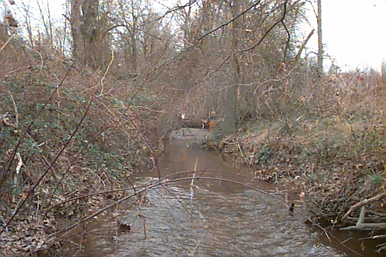 Field photo showing stream conditions at site MATT-108-R-2000-01
