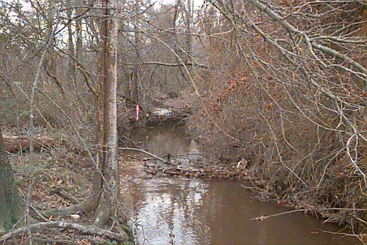Field photo showing stream conditions at site MATT-108-R-2000-02