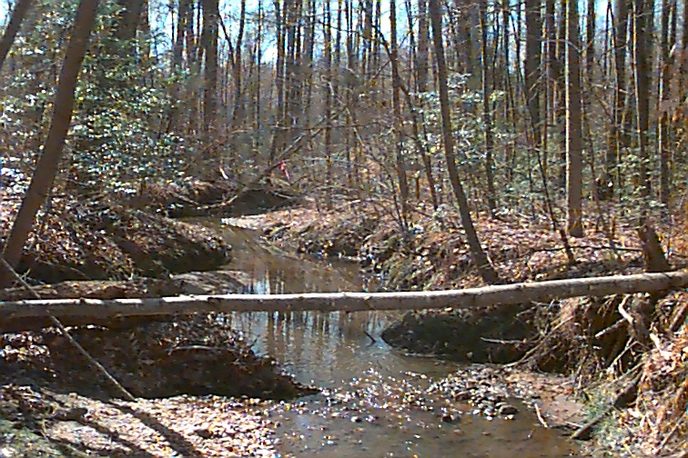 Field photo showing stream conditions at site MATT-109-R-2000-01