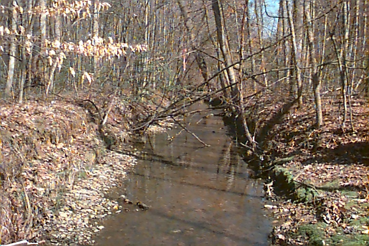 Field photo showing stream conditions at site MATT-109-R-2000-02